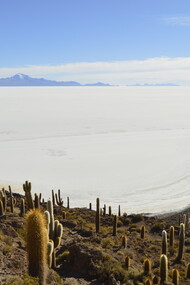 El Salar de Uyuni © David Arévalo