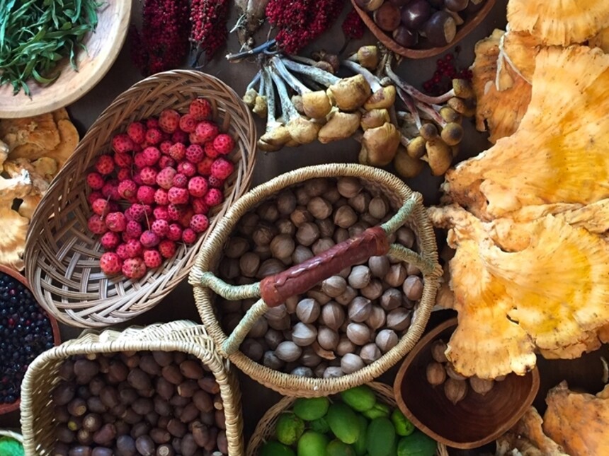 The Importance of Wild Foods Now Meer