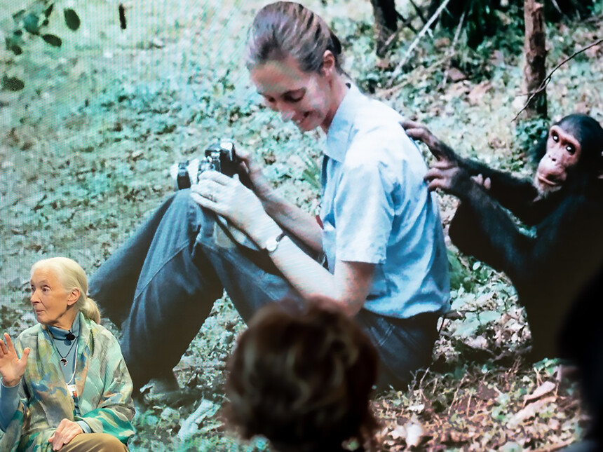 Jane Goodall and the silence on population