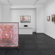 Lêna Bùi, Skin in my stomach, ausstellungsansicht. Mit freundlicher genehmigung der Galerie Urs Meile