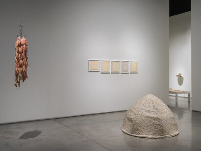 Richi Bhatia, Antevasin, the one who sits at the border of two worlds, exhibition view. Courtesy of Gallery Isabelle Van Den Eynde