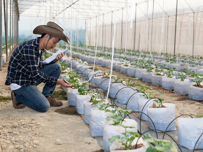 Farms account for 70 percent of freshwater use worldwide—efficiency here matters most.