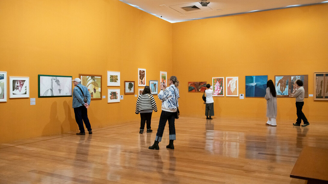 Flávio Império: tienes la voluntad y es libre, vista de exhibición. Cortesía de la Pinacoteca 