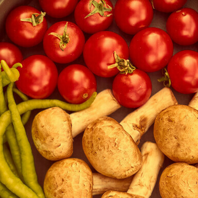 Diet influences the structure, composition, and function of the human gut microbiome