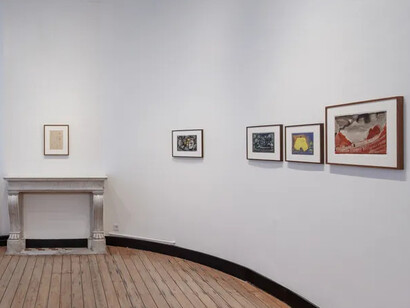 Eugen Gabritschevsky, Vision of inner worlds, exhibition view. Courtesy of Christophe Gaillard Gallery