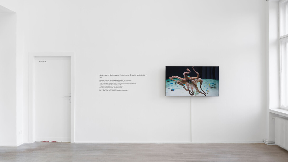Shimabuku, Self-portrait, ausstellungsansicht. Mit freundlicher genehmigung der Galerie Barbara Wien