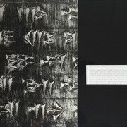 Vincenzo Agnetti, Frammento di Tavola di Dario tradotta in tutte le lingue, 1973. Fotografia e scrittura, 50 x 109 cm. Courtesy of Osart Gallery