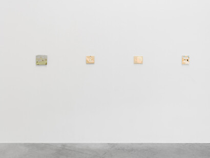 Kevin McNamee-Tweed, Honey on the wheel, exhibition view. Courtesy of Tatjana Pieters 