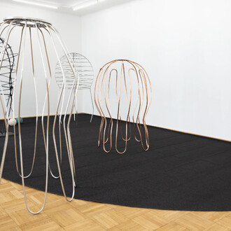 Sonia Leimer, Dust buddies, exhibition view. Courtesy of Galerie nächst St. Stephan