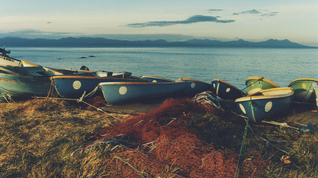 Koji Onaka, Aomori Natsudomari (detail), 2021. Courtesy of Blue Lotus Gallery