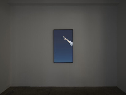 Robert Wilson, Animals, exhibition view. Courtesy of Winston Wächter Fine Art