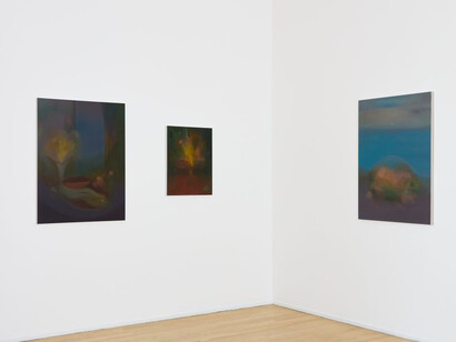 Michelle Wasson, Songs of the Marauder, exhibition view. Courtesy of Andrew Rafacz 