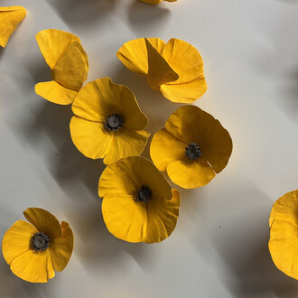 Owen Mann, Celestial Poppies (detail), 2025. Courtesy of Wally Workman Gallery