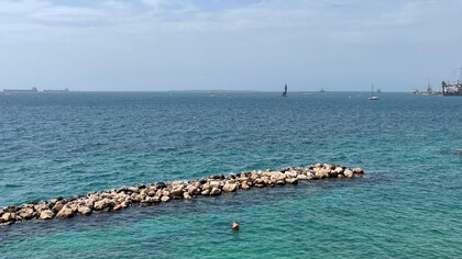Le cozze di Taranto sono note per la loro qualità, legata alle caratteristiche ambientali dello Ionio e del Mar Piccolo, dove crescono in acque salmastre. Corso due Mari, Taranto, Puglia, Italia