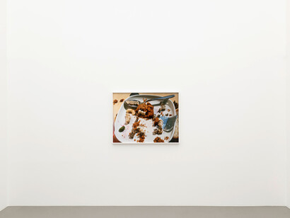 Torbjørn Rødland, Slow life strategies, exhibition view. Courtesy of Galerie Eva Presenhuber
