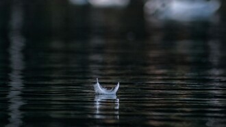 La natura favorisce il benessere psicologico riducendo stress, ansia e tensioni emotive