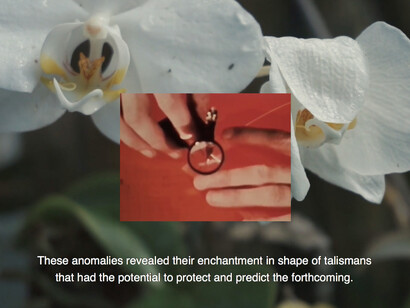 Carlos Alfonso, Shapes of visions that fly at night. Courtesy of Casas Riegner