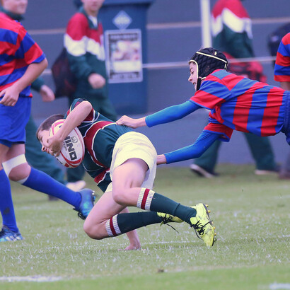 Im Schwarm handeln Subjekte nicht mehr aus eigener Kohärenz, sondern reagieren auf Signale