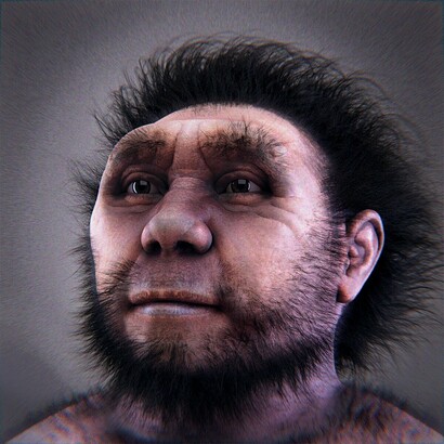 Ricostruzione facciale dell'Homo erectus