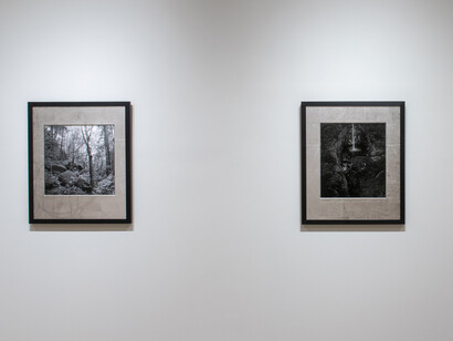 Kenro Izu, Mono no aware – The beauty of impermanence, exhibition view. Courtesy of Howard Greenberg Gallery
