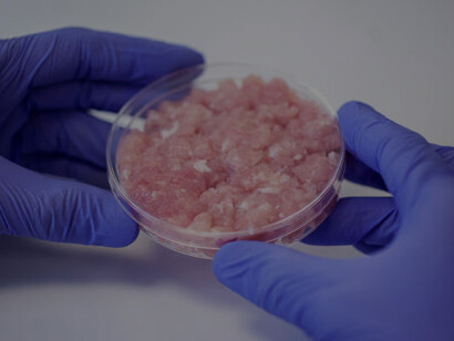 Close up view of hands holding petri dish with cultivated meat sample
