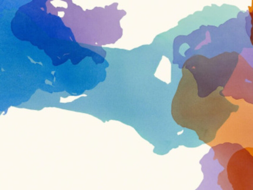 Andrew Belschner Meer