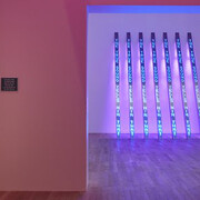 Jenny Holzer. Courtesy of Tate Modern
