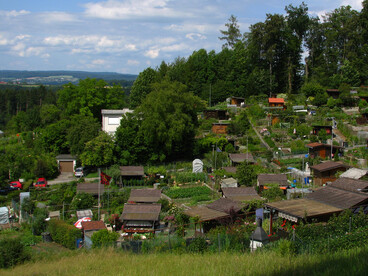 Berlin's allotment gardens have become an important part of the urban landscape, providing a peaceful retreat from the hustle and bustle of city life, Germany