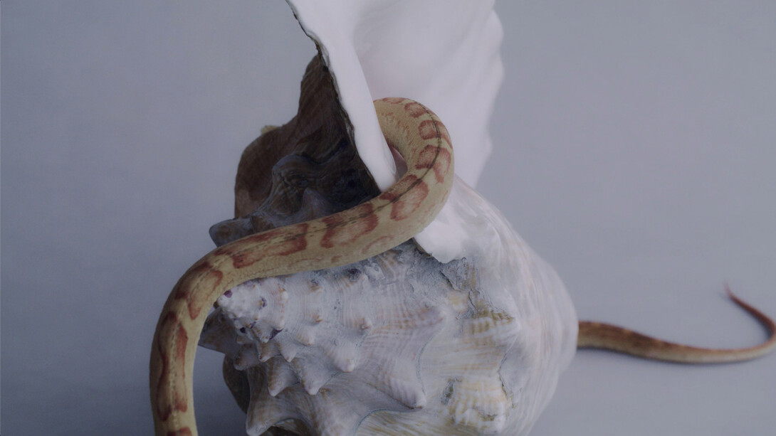 Katherinne Fiedler, En algún lugar / Somewhere in, 2021. Courtesy of Galeria Nave