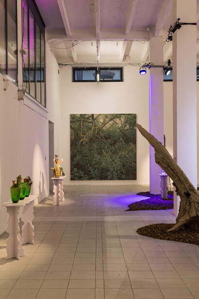 Tomáš Žemla and František Jungvirt, Off the beaten track, exhibition view. Courtesy of the Chemistry Gallery. Photo by Petr Kopal