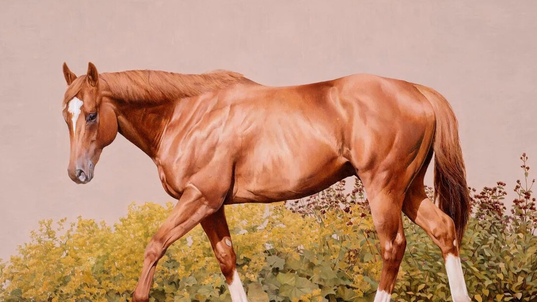 Joseph Black, Transition (detail), 2025. Courtesy of Jonathan Cooper Gallery