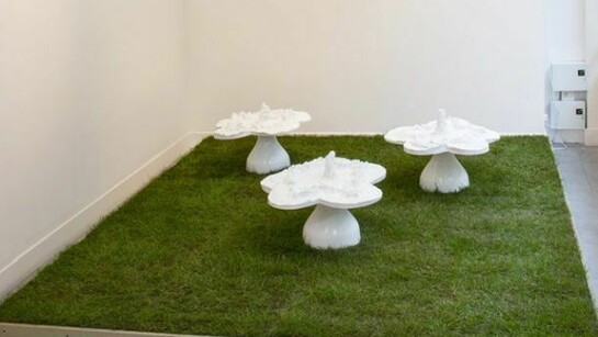 Helen Chadwick, Piss flowers, 1991-1992, Bronze, cellulose lacquer, 12 parts, each approx. 70 x 65 x 65 cm, Edition of 5 plus 3 APs