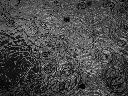 Chuva na rua. A hora de almoço aproxima-se, as mulheres começam a levantar-se e a arrastar as cadeiras como se arrastassem o passado, os beijinhos e os cumprimentos, "até logo se Deus quiser, estou que nem posso", já estou com larica, na rua passou um grupo de três ciclistas em grande velocidade, alguém teve tempo ainda para rematar: tanta pressa, ou vão tirar o pai da forca ou vão ao encontro de Deus, que bem precisam para não terem um acidente eu percebi que já tinha matéria suficiente para uma história. Havia algo de extremamente sedoso nas palavras como se o mundo, afinal, fosse isto: o rumor das vidas dos outros, e uma cadeira vazia onde o silêncio, por vezes, se senta