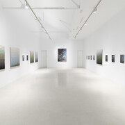 Stijn Cole, El tiempo suspendido, vista de exhibición. Cortesía de la Galería Hilario Galguera 