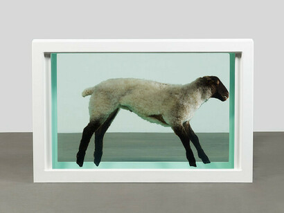 Damien Hirst, Away from the flock, 1994. Mit freundlicher genehmigung des Albertina Museums