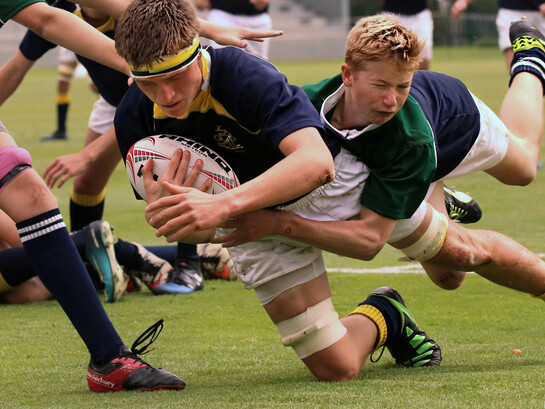 Der Schwarm ist rastlos und orientierungslos zugleich. Er bewegt sich, doch er kommt nirgends an