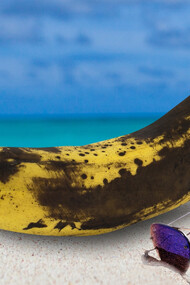 A banana in the sun turning black