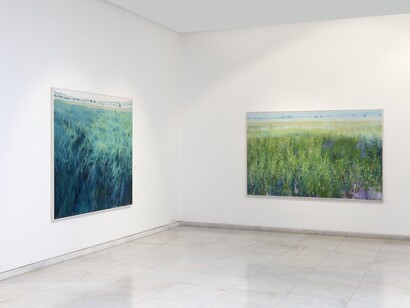 Miltos Golemas, Plateau, exhibition view. Courtesy of Zoumboulakis Galleries