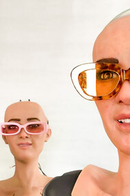 Trois soeurs robots. Pour avoir une conscience, le robot devrait être capable de recevoir et de reconnaître des sensations et des émotions à travers la perception visuelle, auditive et olfactive et de les traiter en étant capable d'identifier les relations qui existent entre son environnement et chaque individu