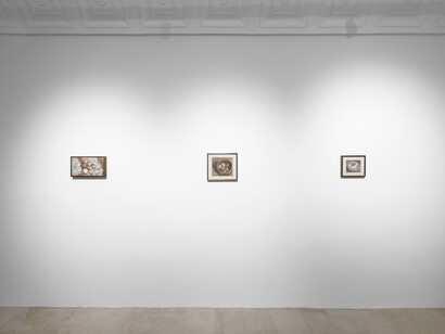 Justin Bradshaw, 9 paintings of drapery and eggs, exhibition view. Courtesy of Spazio Amanita