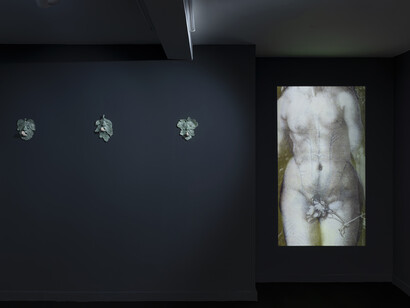 Ai Ozaki, Fig leaves, exhibition view. Courtesy of Annet Gelink Gallery