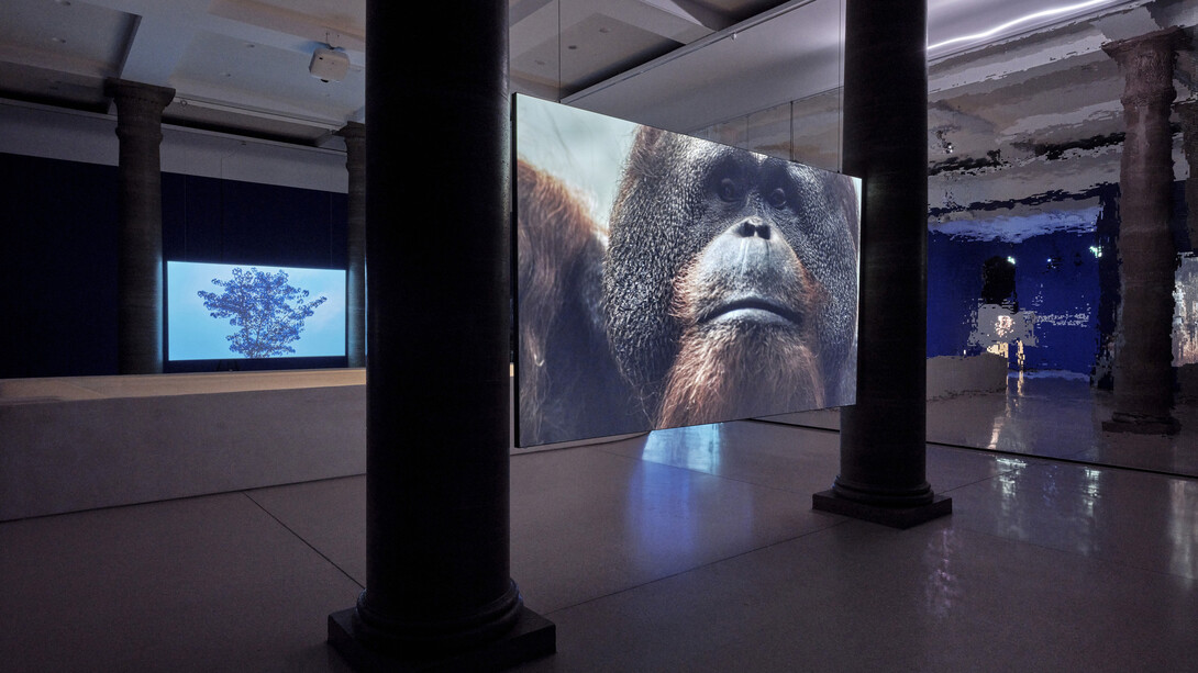Asta Gröting, Ein wolf, primaten und eine atemkurve, ausstellungsansicht. Mit freundlicher genehmigung des Museums Städel