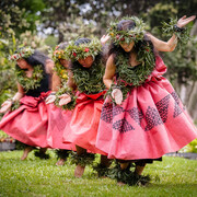 Hula dancers from the Hālau Nā Kipuʻupuʻu group, Kaʻauea, Hawaiʻi, Hawaiian Islands, 2011. Photo: Dino Morrow 