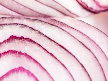 È un ingrediente simbolo della cucina tradizionale locale, protagonista del celebre calzone di cipolle