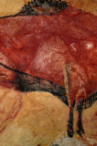 Il bisonte di Altamira