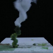 Gal Weinstein, Bad Spirit #2, 2012, still from video, Courtesy Galleria Riccardo Crespi and the artist