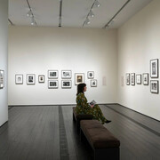 Various artists, Photography from The Menil collection: curated by Wendy Watriss, exhibition view. Courtesy of Menil