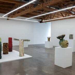 Anina Major, Moments of being, exhibition view. Courtesy of Shoshana Wayne Gallery