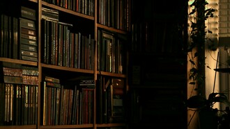 Books and books and books, a collection that is not enough