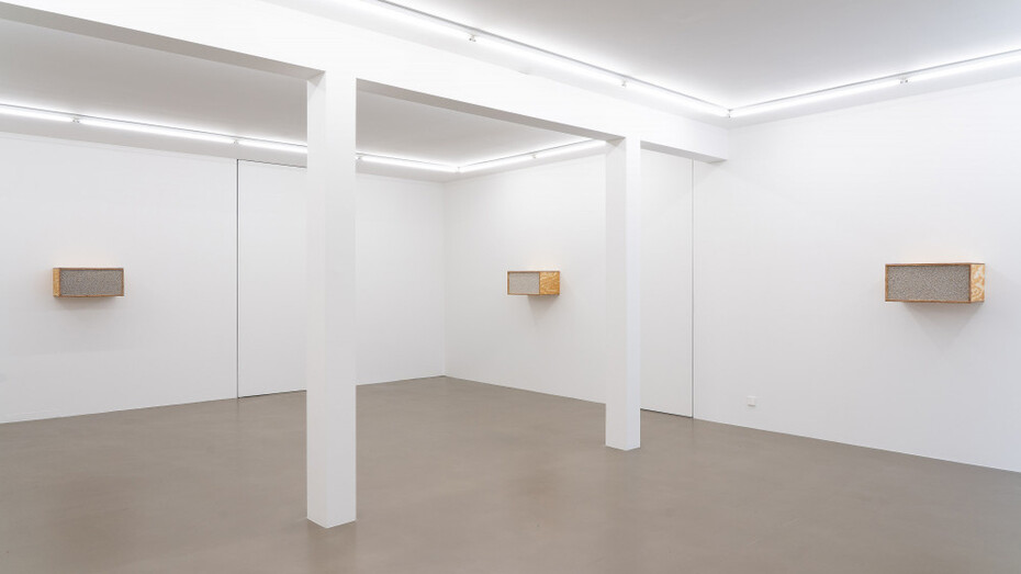 Henrik Håkansson, An ideal for living (The insect societies, prototype), exhibition view. Courtesy of Meyer Riegger Gallery
